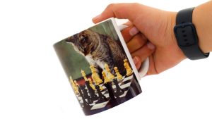 طرح گربه و شطرنج